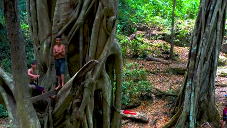 Vertical-ascend-shot-of-local-children-playing-in-a-tree