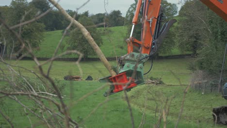 Excavadora-Excavadora-Con-árbol-De-Liberación-De-Accesorio-De-Cizalla-Para-árboles