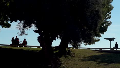 Retroiluminado-De-Personas-Disfrutando-De-Su-Tiempo-Libre-En-Un-Parque