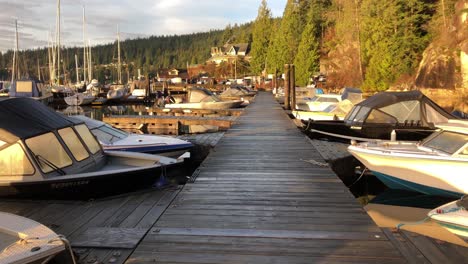 Boats-moored-at-marina-on-sunny-afternoon-with-woodland,-tracking-shot