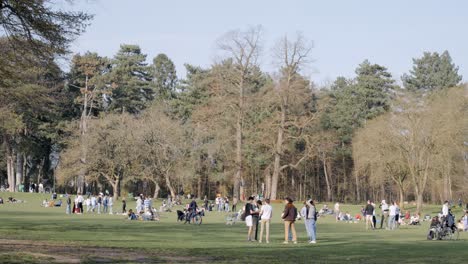 Boys-are-playing-football-in-the-crowded-park-Bois-De-La-Cambre-in-Brussels,-Belgium