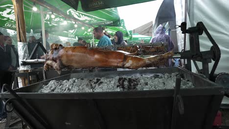 Pig-roasting-on-spits-over-large-open-BBQ-fire-of-hot-coals-at-Bulgarian-national-festival-of-Sheep-breeders,handheld