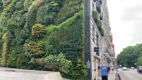 Gente-Caminando-Cerca-De-Un-Jardín-Vertical-Natural-Respirando-Aire-Fresco-En-El-Centro-De-La-Ciudad-De-Madrid