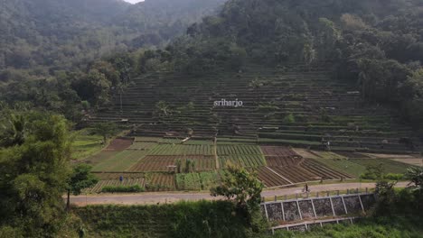 Aerial-view,-Srikeminut-Sriharjo-tourist-village-which-offers-beautiful-natural-and-rural-views