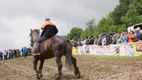 Caballos-De-Trabajo-Grandes-Y-Poderosos-Que-Muestran-Control-En-Un-Campo-Fangoso-De-Competencia-En-El-Festival-Nacional-De-Bulgaria