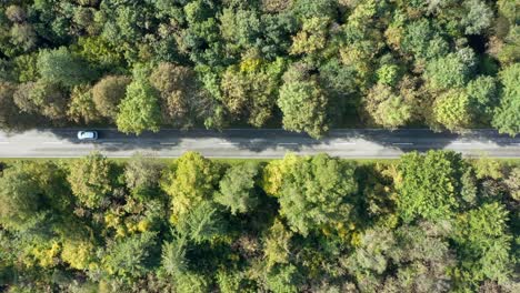 Street-leading-through-a-forest-with-a-driving-car,-slowly-zoomed-in