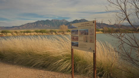 Visitante-Busca-Información-Sobre-La-Historia-Local-En-Canoa-Ranch-En-El-Sur-De-Arizona