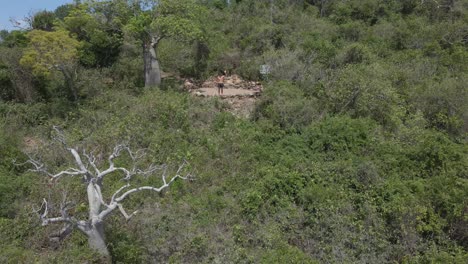 Male-Tourist-Waves-At-Drone-Camera-Flying-Over-The-Forest-Of-Langford-Island-In-Whitsundays,-Queensland