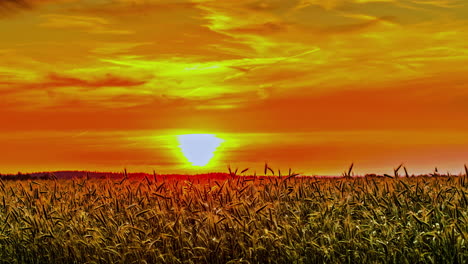 Himmel-Mit-Orange--Und-Rottönen---Feuersonnenuntergang-über-Ackerland