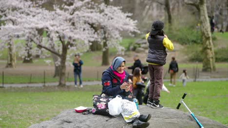 Madre-E-Hijo-Se-Relajan-En-Una-Roca-En-El-Parque-Central-De-Nueva-York-En-Primavera-Con-Flores-De-Cerezo-En-El-Fondo