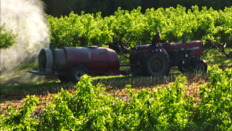 Farmer-on-tractor-sprays-fruit-trees-in-orchard