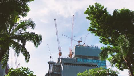 Grúas-De-Construcción-En-La-Parte-Superior-Del-Edificio-En-La-Capital-De-Tailandia,-Vista-En-Primera-Persona-Desde-El-Parque-Público-Lumphini,-Sitio-De-Construcción-Y-Grandes-árboles