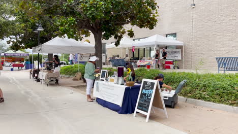 Mercado-De-Agricultores-De-Reliquia-Semanal-En-Green-Valley,-Arizona