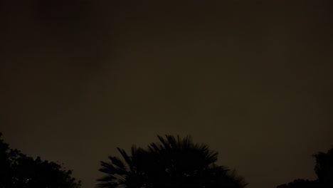 A-United-Airlines-Boeing-737-Max-emerges-from-behind-trees-during-a-night-approach-to-LAX