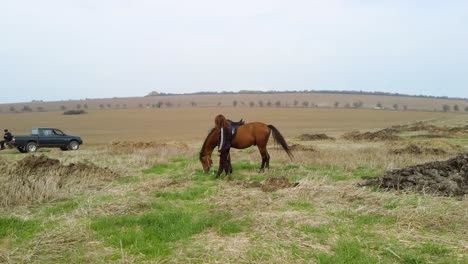 El-Caballo-Y-La-Niña-Se-Paran-En-Un-Gran-Campo-Agrícola