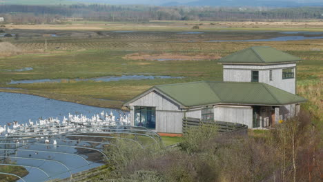 Looking-down-on-the-Sir-Peter-Scott-bird-hide-and-the-whooper-swan-Pool-at-the-Caerlaverock-Wetland-Centre-South-West-Scotland