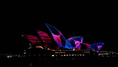 Sydney---Festival-De-Luces-Vívidas-2