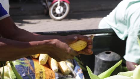 Man-prepares-corn-to-be-sold-at-the-morning-market,-in-Capelinha,-Minas-Gerais,-Brazil