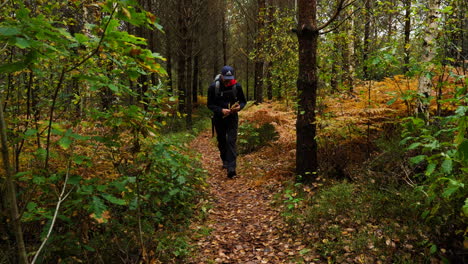 Statische-Aufnahme-Eines-Mannes,-Der-An-Einem-Bewölkten-Herbsttag-Auf-Einem-Waldweg-In-Birkeland,-Aust-Agder,-Südnorwegen-Geht