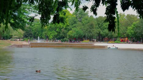 Városligeti-Lake-City-park,-the-over-side-of-the-park,-people-on-paddling-boats-passing-by