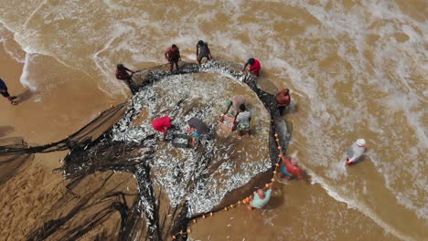 Imágenes-Aéreas-De-Una-Increíble-Captura-De-Pesca-Con-Redes-De-Arrastre-En-La-Isla-De-Tobago-En-El-Caribe