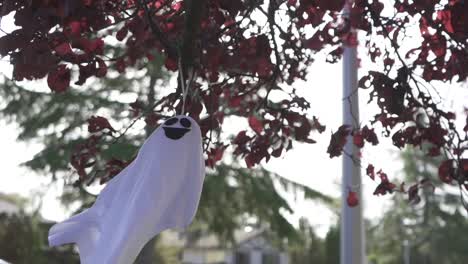 Seguimiento-De-Una-Aterradora-Decoración-Fantasma-De-Halloween-Colgando-De-Un-árbol-Floreciente-Y-Balanceándose-Con-El-Viento-En-Un-Soleado-Día-De-Otoño-En-Un-Barrio-Residencial