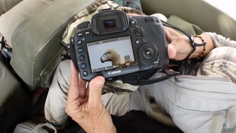 Photo-safari-guest-shows-her-close-up-photo-of-an-African-Vulture