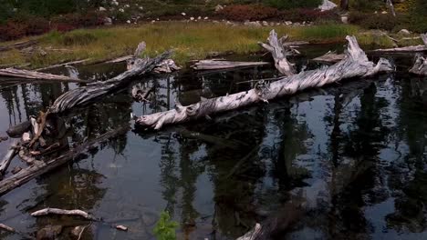 Una-Joya-Escondida-En-La-Montaña-De-Dientes-De-Sierra