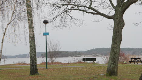 Couple-of-elder-woman-walking-a-dog-without-a-leash-in-Sweden,-slow-motion