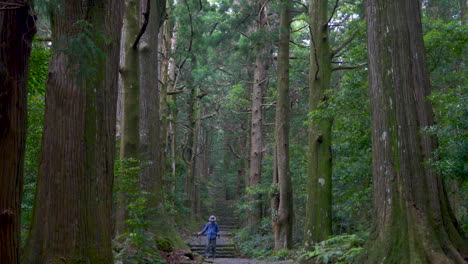 Excursionista-De-Edad-Avanzada-Caminando-Por-Los-Escalones-Del-Sendero-De-Peregrinación-De-Koyasan-En-Japón