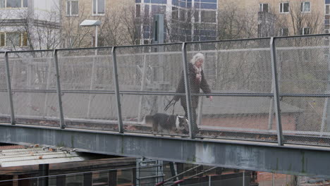 Elder-caucasian-woman-walking-dog-in-slow-motion-during-pandemic