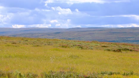 Norwegen-Fjell-Gebiet-An-Warmen-Sommertagen