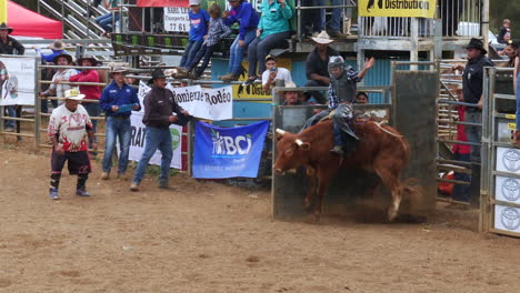 Wild-bull-bucks-off-cowboy-during-Foire-de-Bourail-rodeo,-in-slow-motion