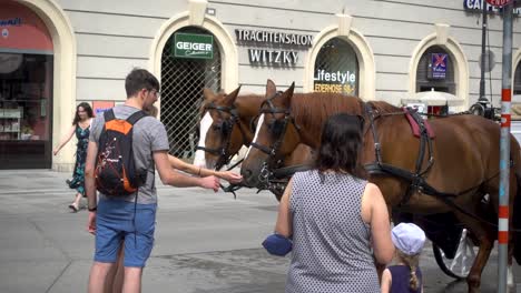 Turistas-En-Viena,-Austria,-Acariciando-Caballos-Fiaker