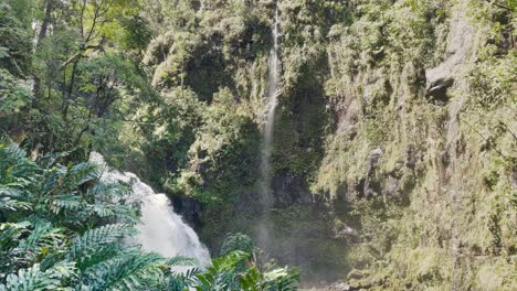 Una-Vista-Estacionaria-De-Una-Cascada-De-Hawaii-En-Un-Bosque-Exuberante