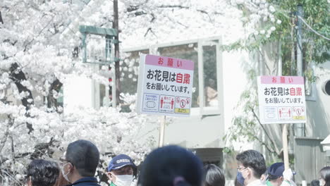 Cartel-De-Distanciamiento-Social-Con-Gente-Abarrotada-Durante-La-Costumbre-Japonesa-Hanami-En-Tokio,-Japón-En-Medio-De-Una-Pandemia