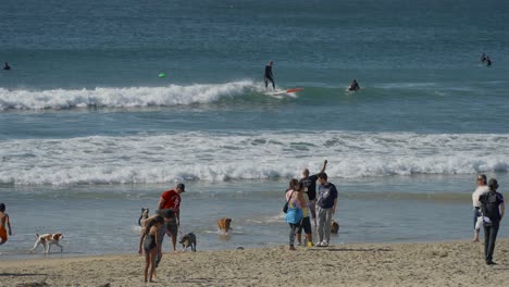 Chico-Lanzando-Un-Frisbee-Para-Su-Perro-En-El-Océano-En-La-Playa-De-Perros-De-Huntington-Beach