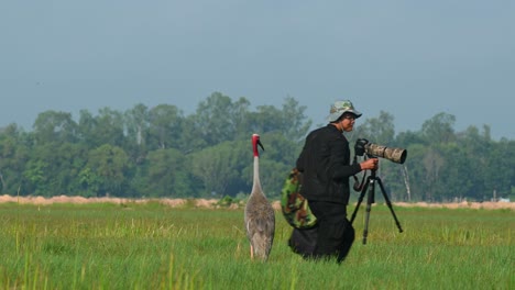 Der-Mann-Behält-Seine-Fotoausrüstung,-Während-Der-Große-Vogel-Zusieht-Und-Dafür-Sorgt,-Dass-Er-Alles-Mitnimmt