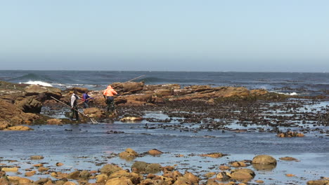 La-Captura-De-Cangrejos-De-Río-En-La-Costa-Rocosa-De-Sudáfrica