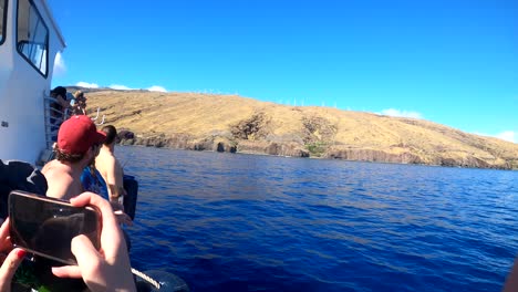 Personas-En-Un-Barco-De-Observación-De-Ballenas-Sosteniendo-Cámaras-De-Teléfonos-Celulares-Y-Señalando-A-Una-Ballena-Jorobada-De-Mamá-Y-Bebé-Durante-La-Temporada-Alta-De-Migración-En-Maui