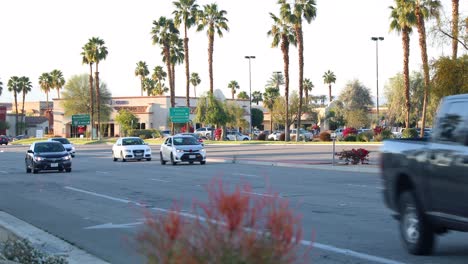 Car-traffic-on-sunny-boulevard-lined-with-palm-trees,-California,-USA