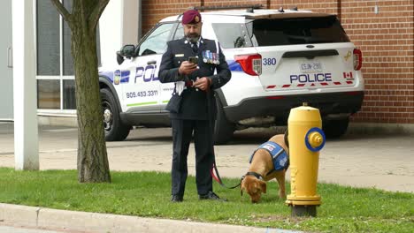 Oficial-De-Policía-Con-Perro-Labrador-En-El-Parque-Conmemorativo-En-Toronto,-Canadá