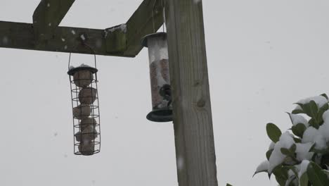 Primer-Plano-De-Dos-Comederos-Para-Pájaros-Mientras-Nieva