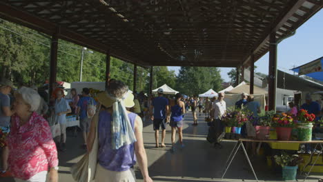 Zeitraffer-Von-Käufern,-Die-Auf-Dem-Bauernmarkt-In-North-Carolina,-USA,-Spazieren-Gehen-Und-Einkaufen