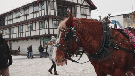 Toma-Estática-De-Un-Carro-De-Caballos-En-Una-Mañana-De-Invierno-Durante-Las-Nevadas-Y-La-Gente-Que-Pasaba-Por-La-Carretera-En-Leavenworth,-Wa