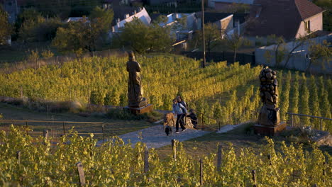 Familie-Mit-Hunden-Beim-Spaziergang-In-Einem-Weinberg-Mit-Statuen-In-Mähren