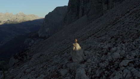 Aerial-view-of-male-balancing-on-sunlit-boulder-on-South-Tyrol-Val-di-Gardena-rocky-mountain-slope