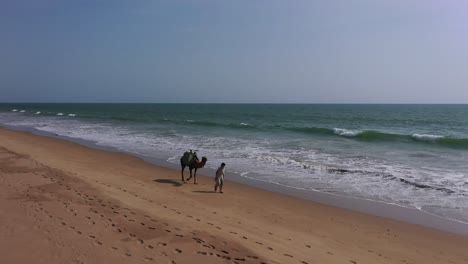 Vista-Aérea-De-Un-Hombre-Paquistaní-Caminando-Con-Camellos-A-Lo-Largo-De-La-Playa-Con-Olas-Rompiendo-En-Baluchistán