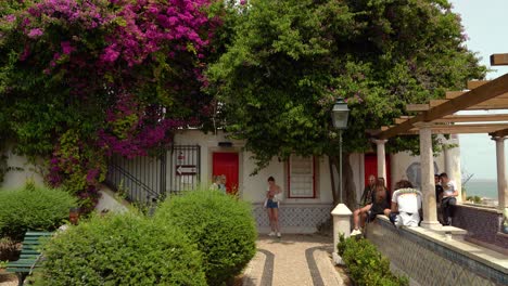 A-grapevines-frames-provides-shade-to-tourists-who-sit-on-the-wall-adorned-with-patterned-tiles-in-Miradouro-de-Santa-Luiza-Gardens