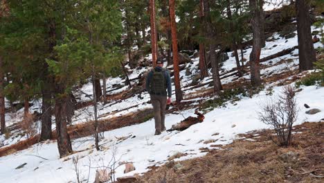 Alleinstehender-Männlicher-Wanderer,-Der-Durch-Schneeflächen-In-Einem-Kiefernwald-Von-Der-Kamera-Weggeht